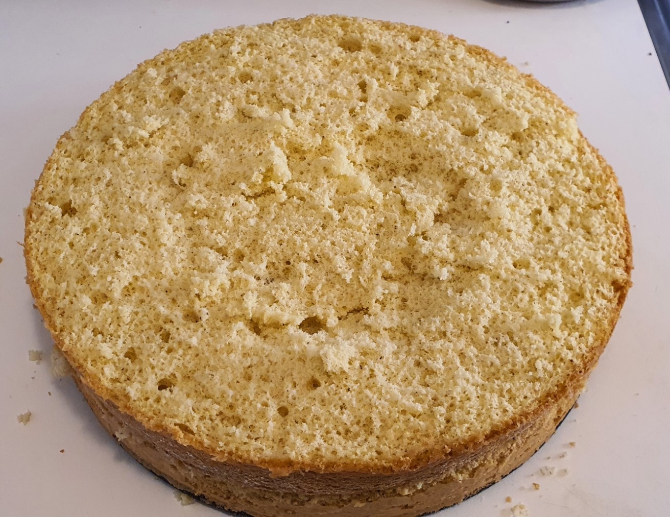 Sponge cake base or Viennese base