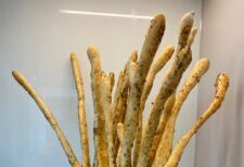 Garlic-Herb Snack Sticks or Bread Chips