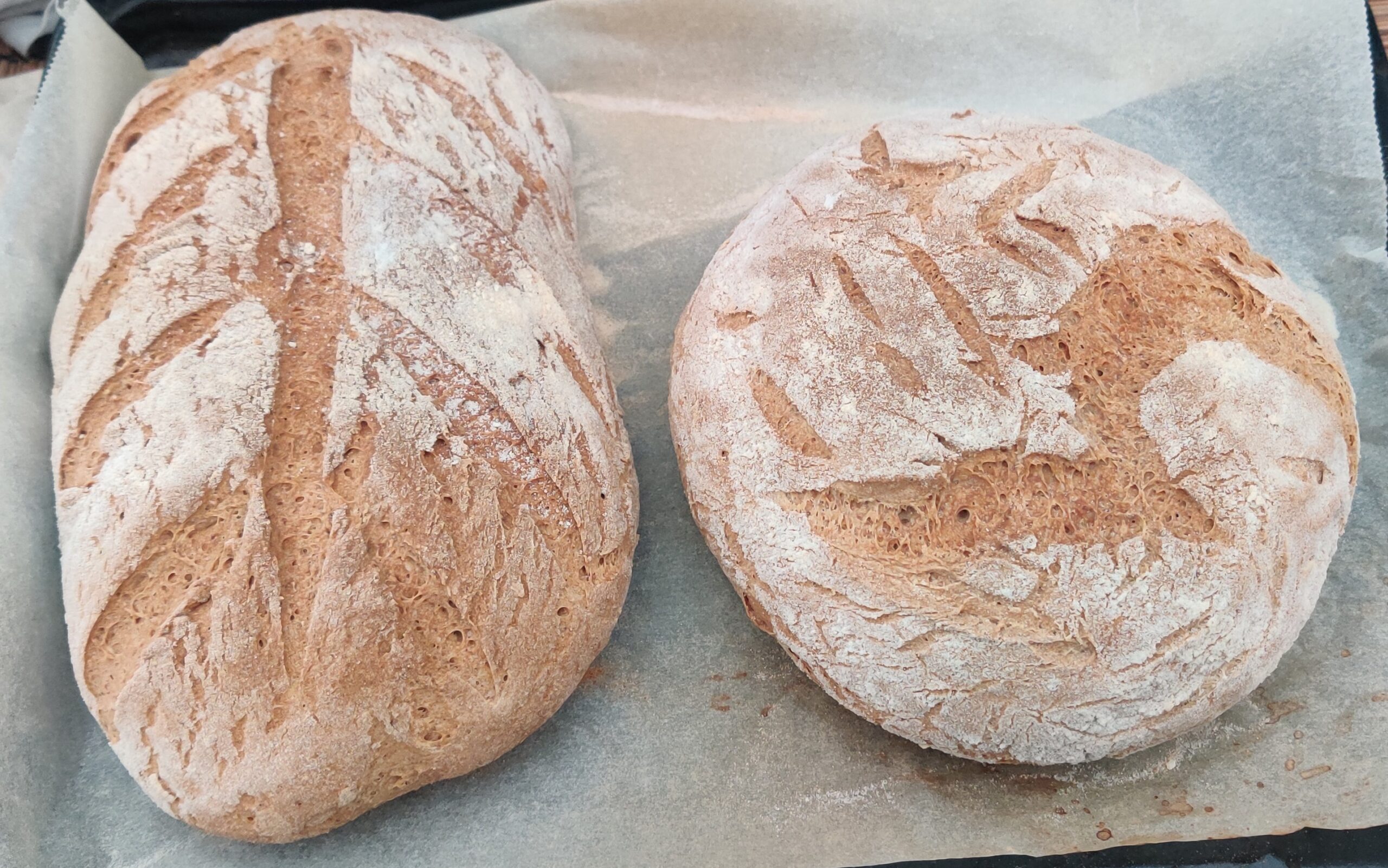 Rustic Potatoe Bread