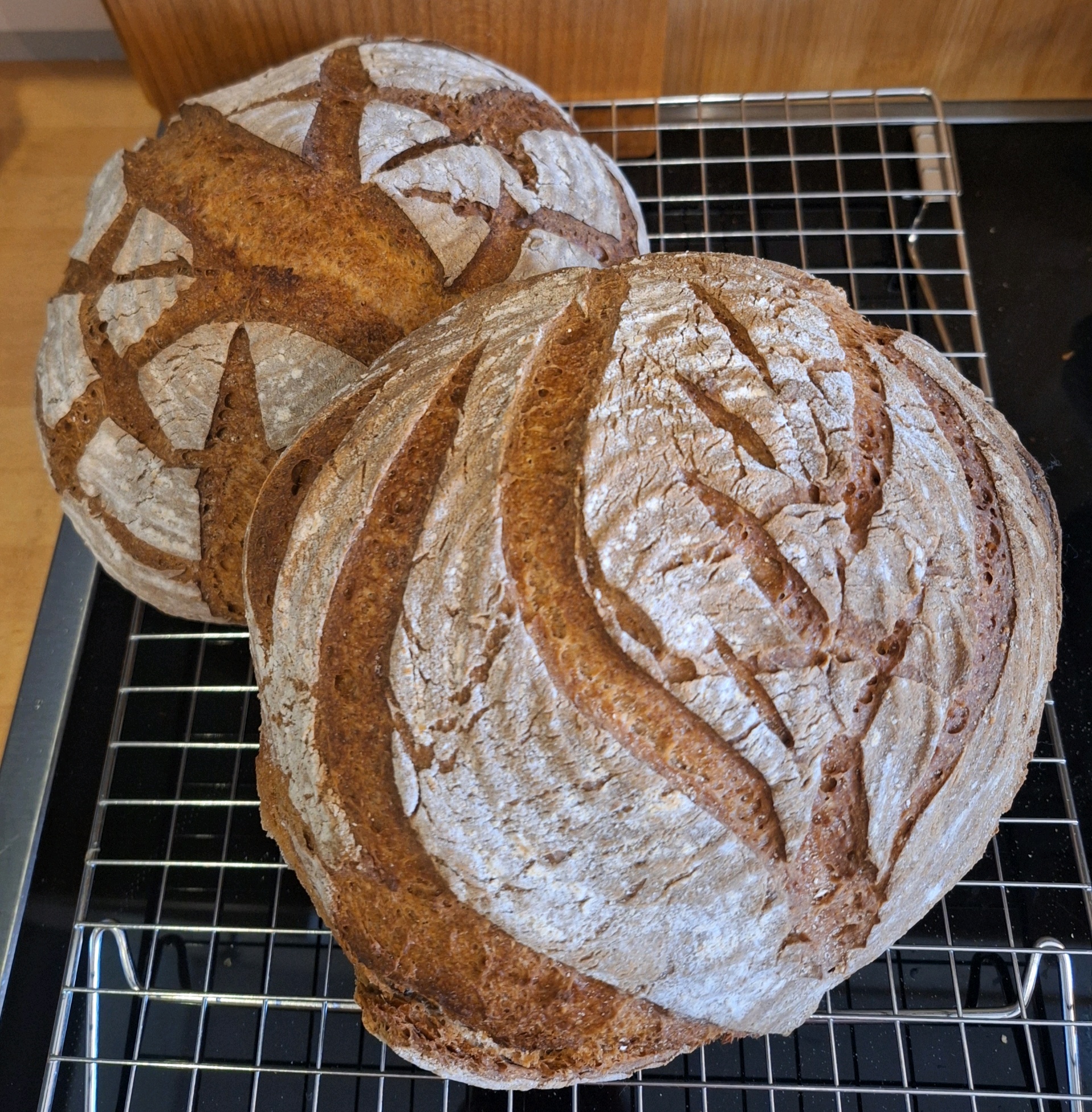 Rustic Curd Bread, Buns or Baguette